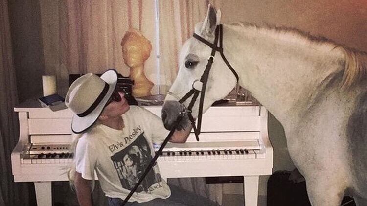 Lady Gaga se despidió de su caballo, Arabella (Instagram: @ladygaga)