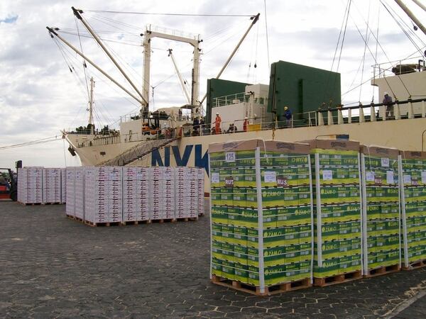 Según el SENASA, en los primeros cinco meses del año la exportación de cítricos cayó más del 30%. Rusia se mantiene como uno de los países más demandantes de la fruta fresca