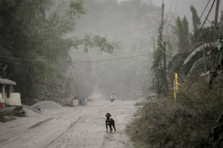 (REUTERS/Eloisa Lopez)