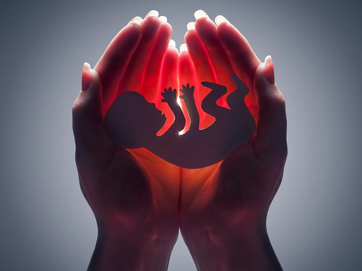 Aborto y la pregunta del millón: cuándo comienza la vida humana - Infobae