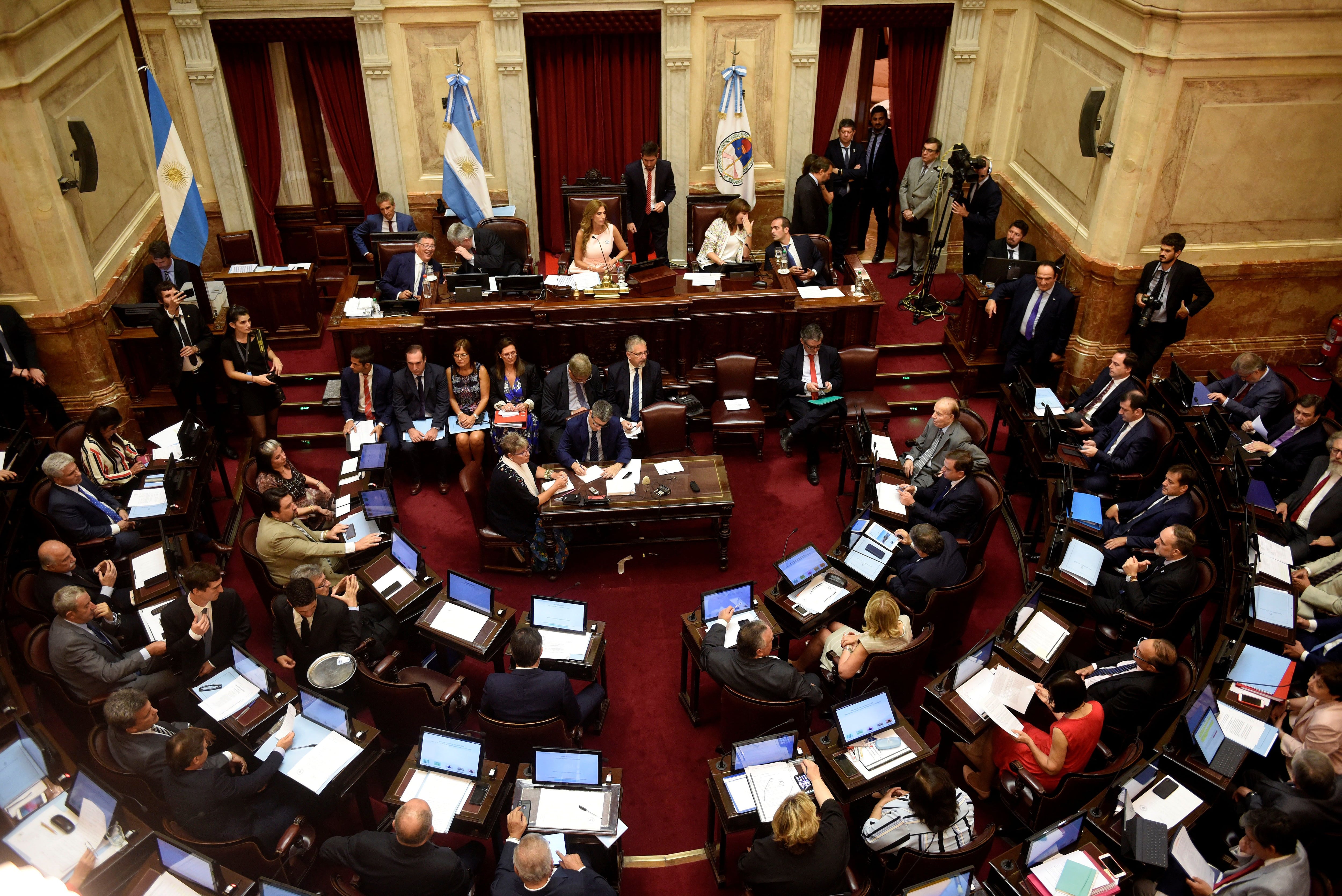 El Senado tiene la palabra para ratificar o rechazar lo votado en Diputados. La incertidumbre sigue ganando espacio (Foto de archivo. EFE/Fabián Mattiazzi)
