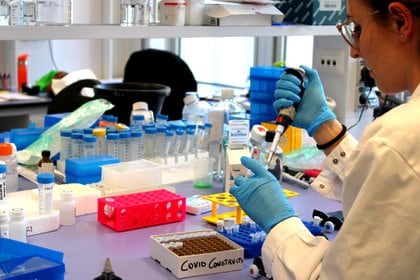 Un investigador trabaja dentro de un laboratorio durante el desarrollo de la vacuna italiana ReiThera COVID-19, en Roma, Italia. REITHERA / REUTERS