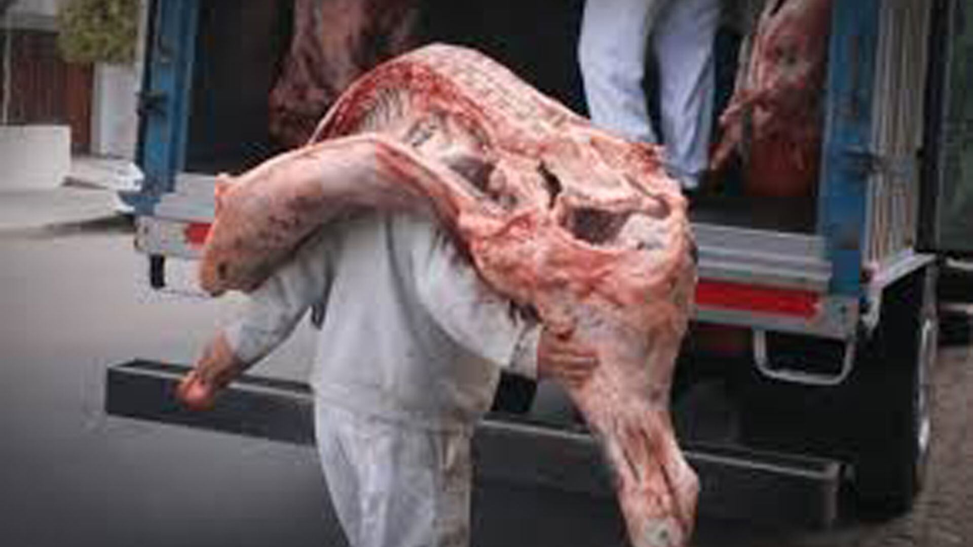 Los exportadores de carne siguen reclamando por el fin de la media res