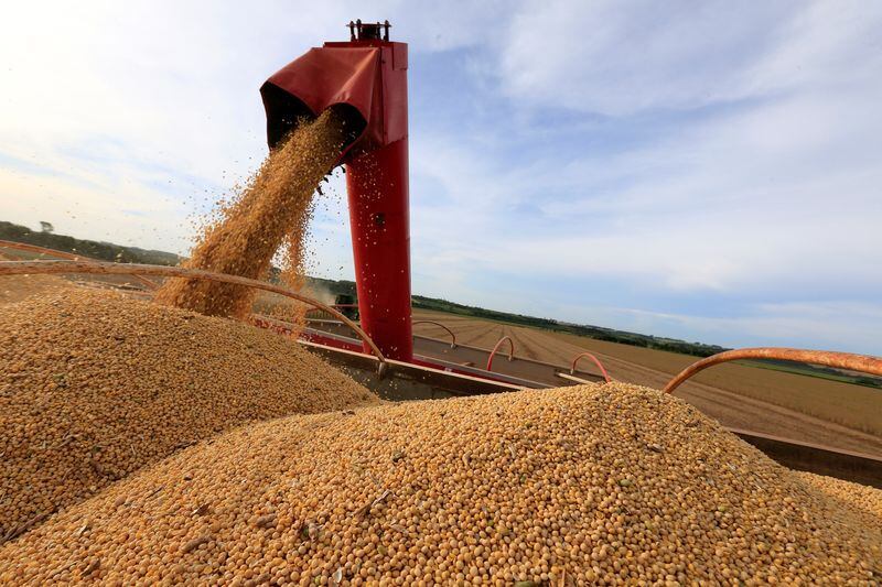 El sector agroindustrial argentino dejó de percibir unos 16.000 millones de dólares por ingreso de exportaciones, producto de la última sequía