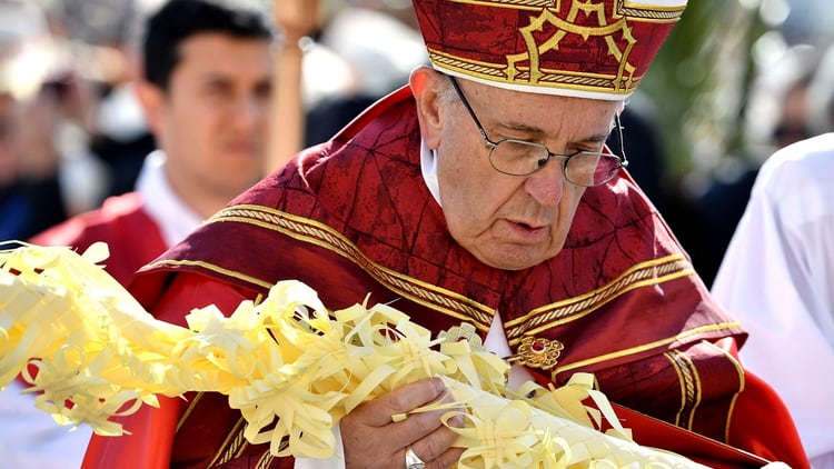 El Papa Francisco en su homilía de Domingo de Ramos (AFP)