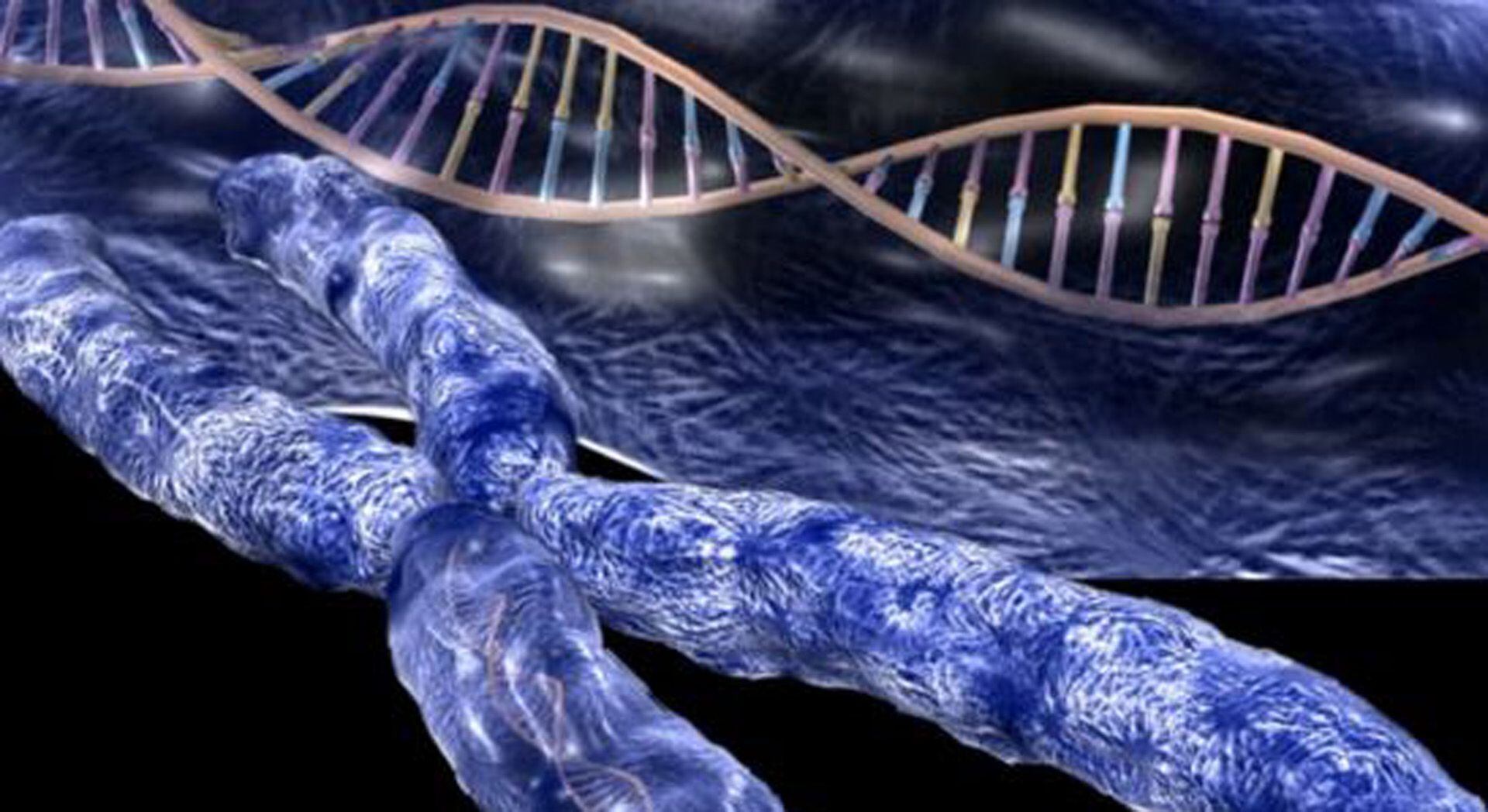 The aging process can be delayed by keeping telomeres in good condition longer. 