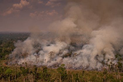Incendios en la Amazonía brasilera (SUDAMÉRICA BRASIL SOCIEDAD © CHRISTIAN BRAGA / GREENPEACE / CHRISTIAN BRAGA)
