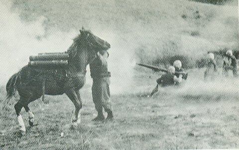 El sargento Reckless bajo fuego durante la Guerra de Corea. (Wikimedia Commons).