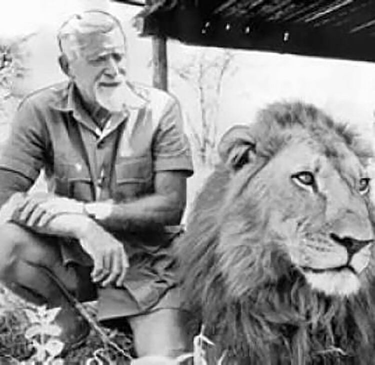 George Adamson junto a su amigo, el león Boy