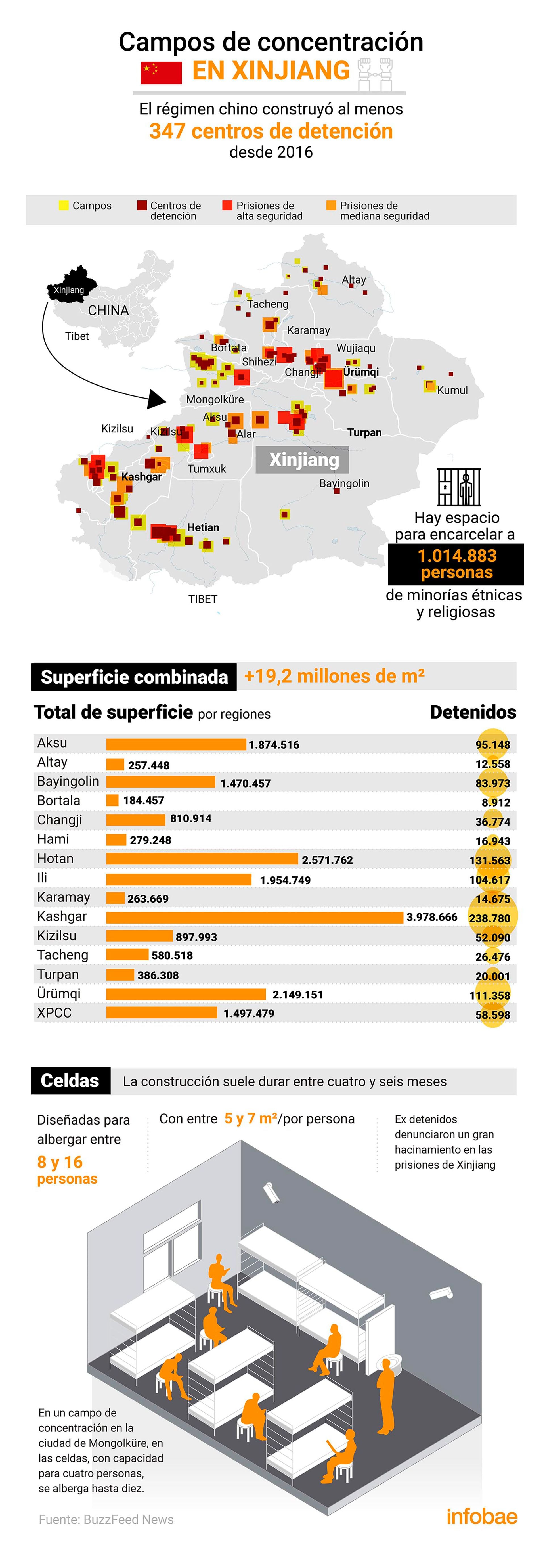 infografia