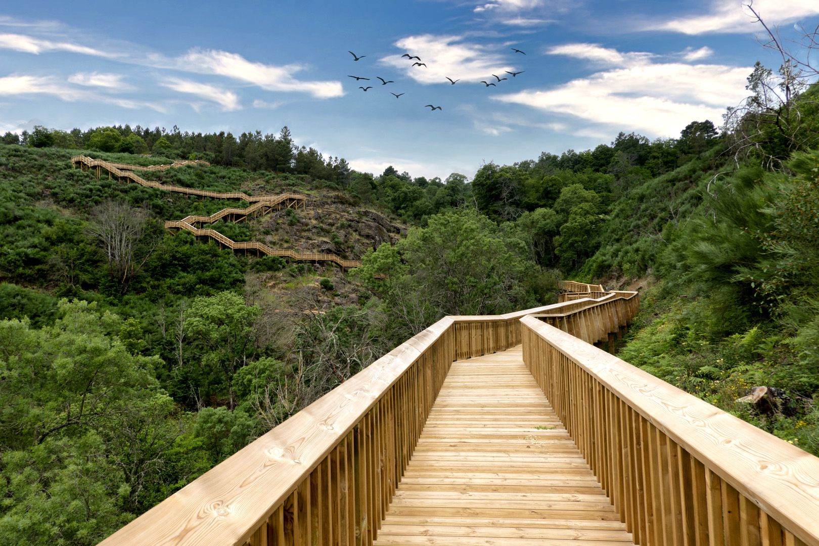 Desfiles do Mondego em Portugal (passadicosdomondego.net).