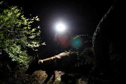 Un trabajador de rescate con un perro participa en una operación de búsqueda del alcalde de Seúl, Park Won-soo, el 9 de julio de 2020. (REUTERS/Kim Hong-Ji)