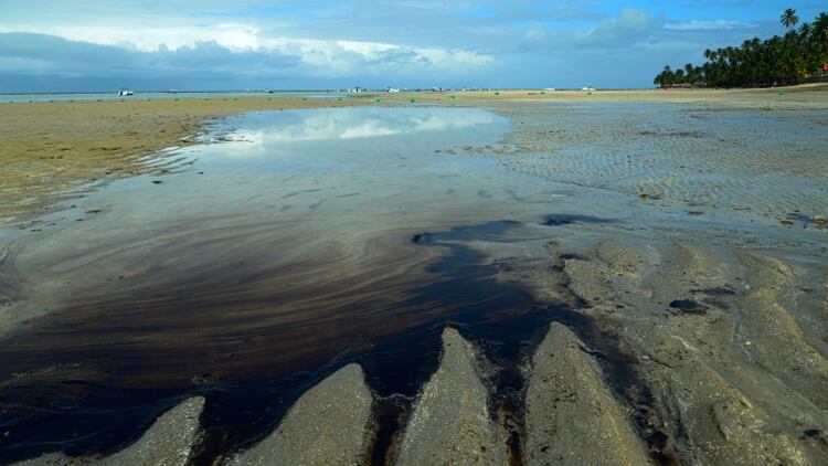 El derrame de petróleo, visto en la playa de Carneiros en Tamandare, estado de Pernambuco (REUTERS)