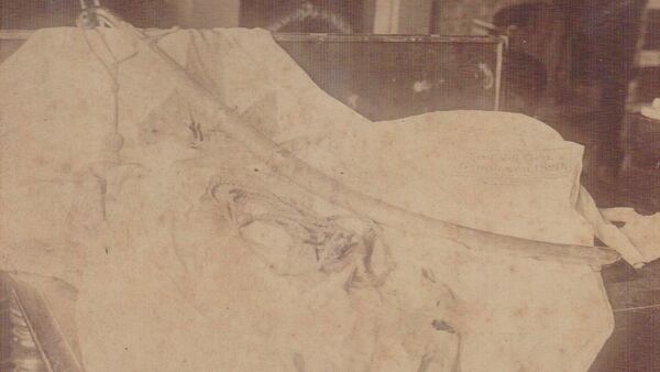 La fotografía del sable corvo de San Martín tomada por la familia Terrero en 1887 y enviada desde Londres. Más adelante, donarían el sable a la República Argentina