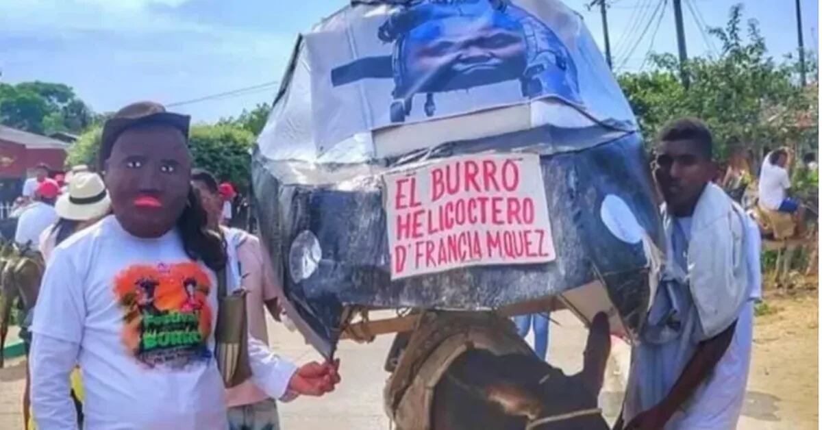 Déguisé en « hélicoptère Francia Márquez », un âne a remporté un concours au Festival de San Antero