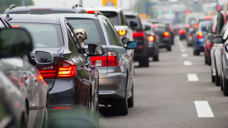 El 88% de las mujeres elegiría el vehículo eléctrico (Shutterstock)