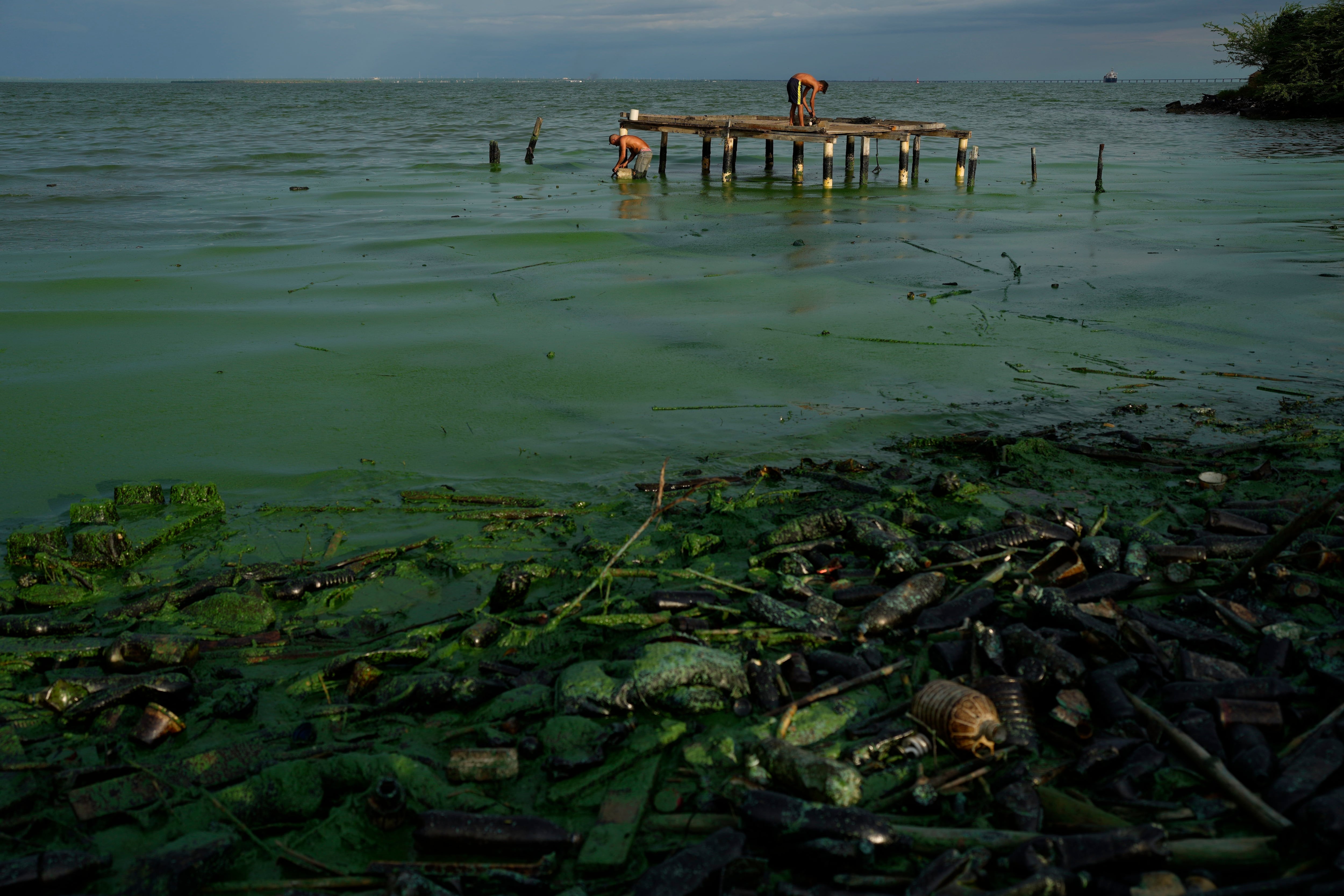 Una capa gruesa de verdín cubre basura y plásticos contaminando el agua (AP Foto/Ariana Cubillos)