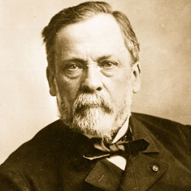 Louis Pasteur, nacido en Dôle, Francia en 1822, fue el fundador de la microbiología moderna y dio grandes inventos a la humanidad, como la práctica de la vacunación preventiva y la esterilización