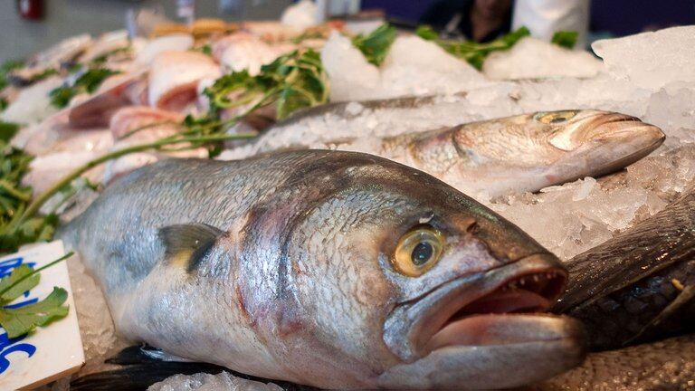 Uno de cada cinco filets de pescado comercializados en la costa bonaerense no es lo que indica su etiqueta