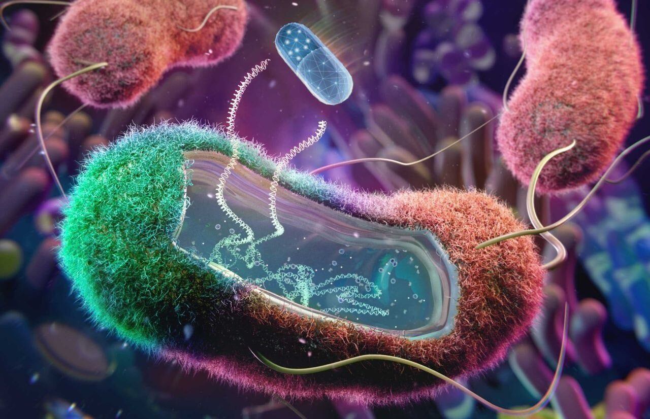 Los investigadores tienen la esperanza de poder modificar el antibiótico para lograr combatir otras enfermedades causadas por bacterias gramnegativas (CIBER) 