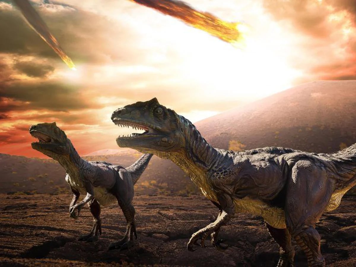 Un segundo asteroide impactó en la Tierra durante la extinción de los  dinosaurios - Infobae