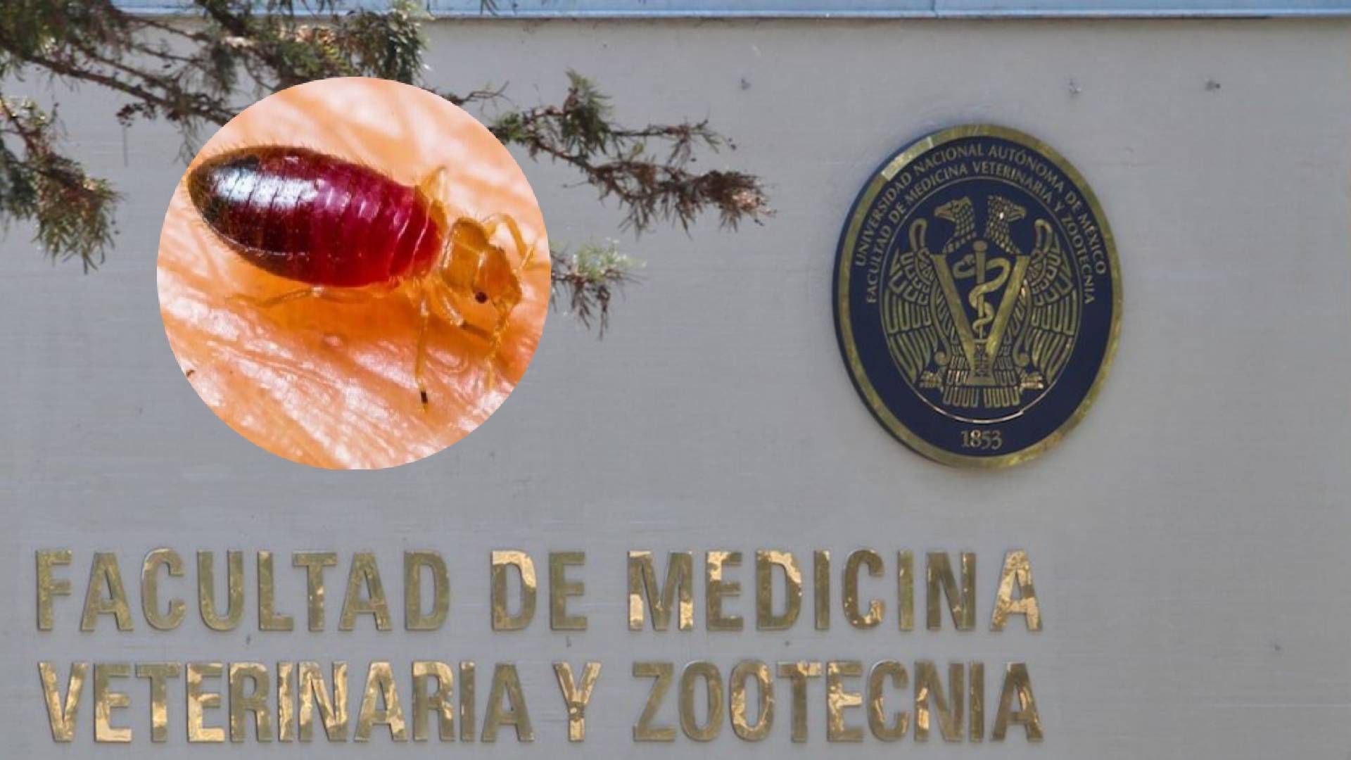 Las autoridades de México decidieron hacer caso a las denuncias de la comunidad para salvaguardar su salud (Especial)