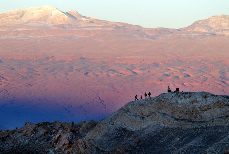 El Desierto de Atacama en Chile se convierte en un milagro natural, con su rara floración que transforma uno de los ambientes más áridos del mundo en una paleta de color /REUTERS/Ivan Alvarado