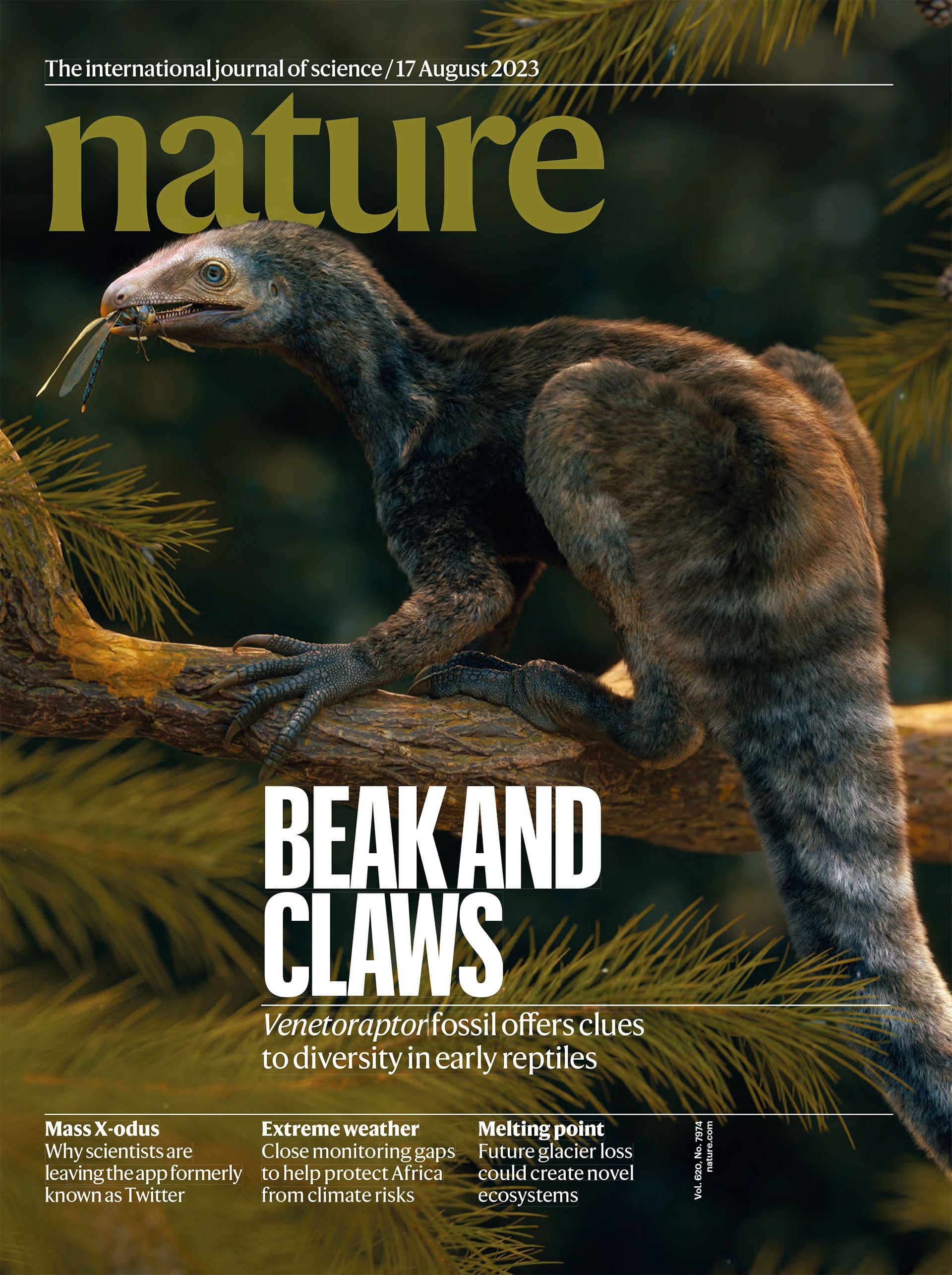 La tapa de Nature del 16 de agosto destaca el hallazgo de Venetoraptor. Es una de las más prestigiosas revistas científicas a nivel mundial. Fue fundada en 1869/Nature
