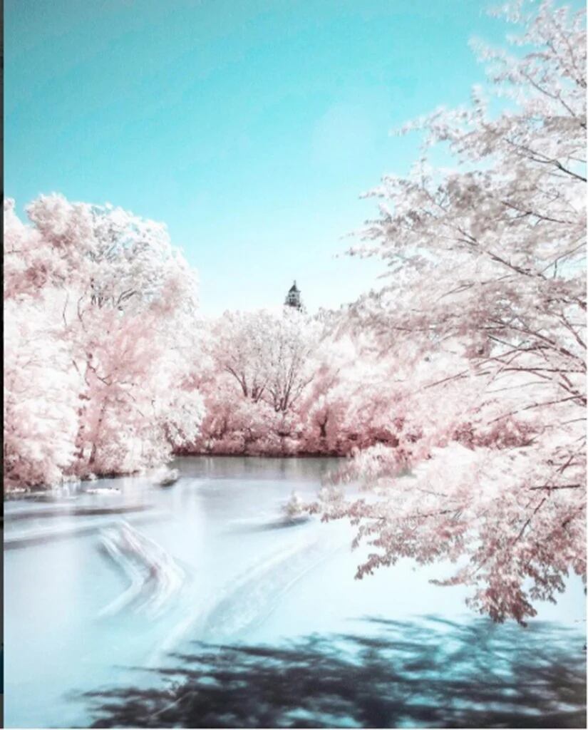 Foto de Central Park, en Nueva York, tomada con filtro infrarrojo (Instagram: Paulo del Valle)
