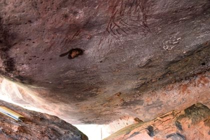 La figura de un canguro de dos metros ha sido identificada como la pintura rupestre intacta más antigua de Australia, con una antigüedad estimada en 17.300 años, publica este lunes la revista científica Nature Human Behaviour. En la imagen, parte baja de la pintura en la que se encuentra el canguro de 17300 años (EFE/ Nature/Damien Finch)
