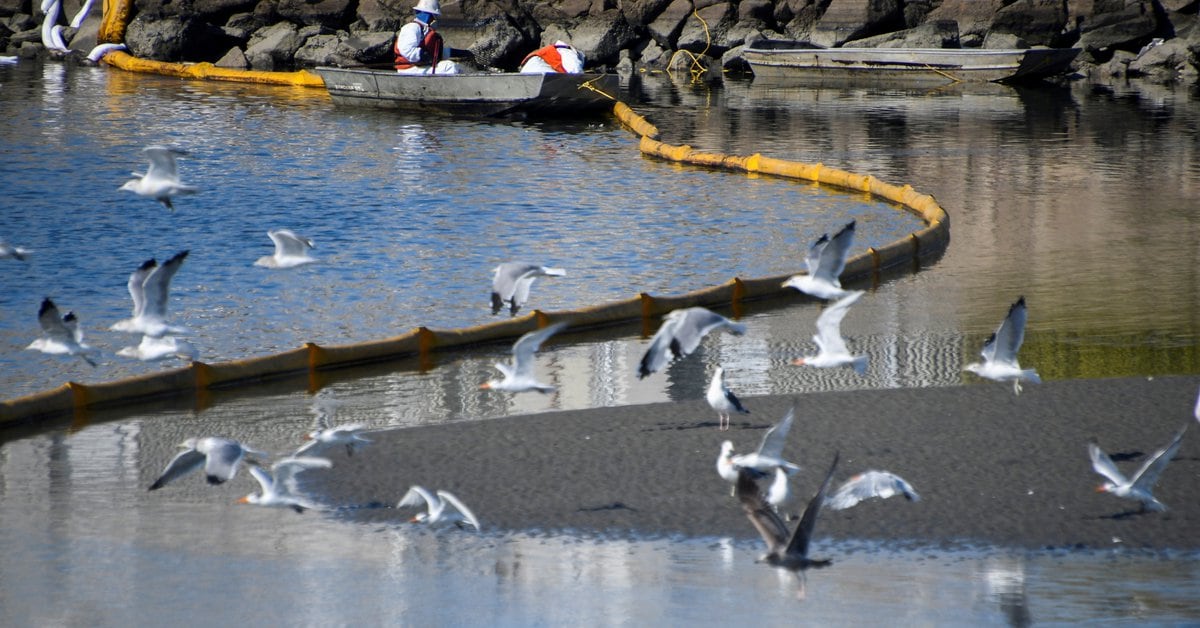 Oil spill in California causes environmental disaster and threatens two popular resorts