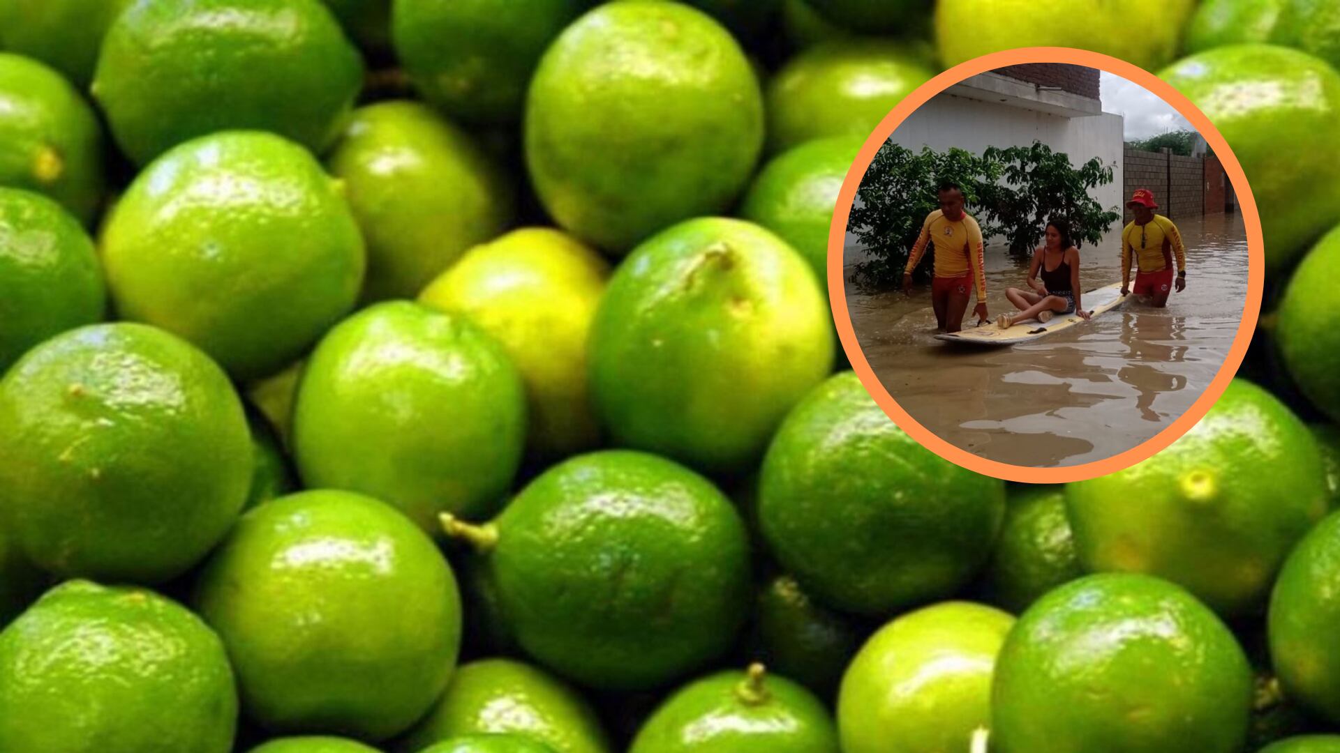 Precio del Limón seguirá en alza hasta diciembre y se agravaría escasez por el Niño Costero, según INEI| Composición Infobae (Andina)