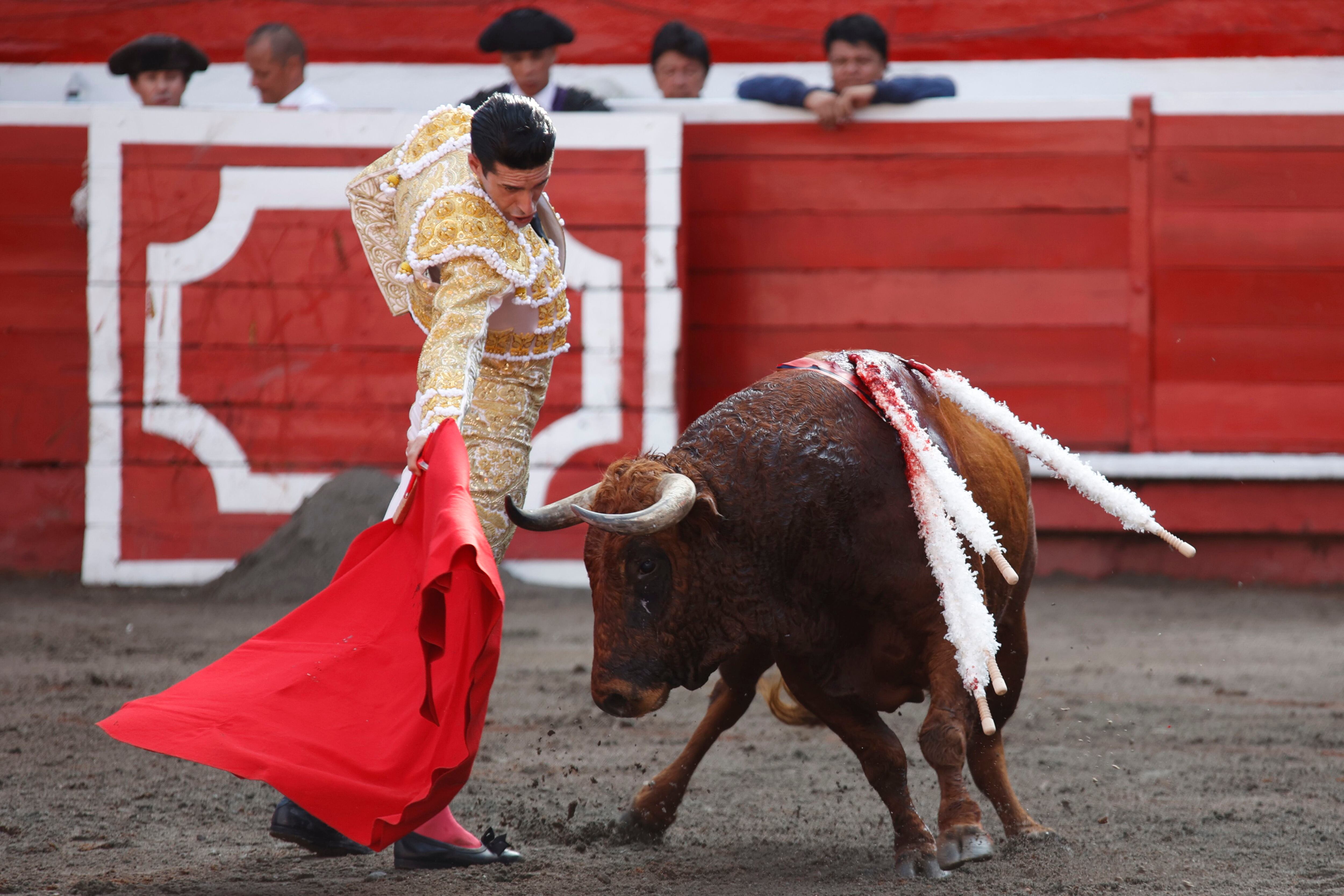 Imagen de archivo del torero español Alejandro Talavante. (Jhon Jairo Bonilla/EFE)