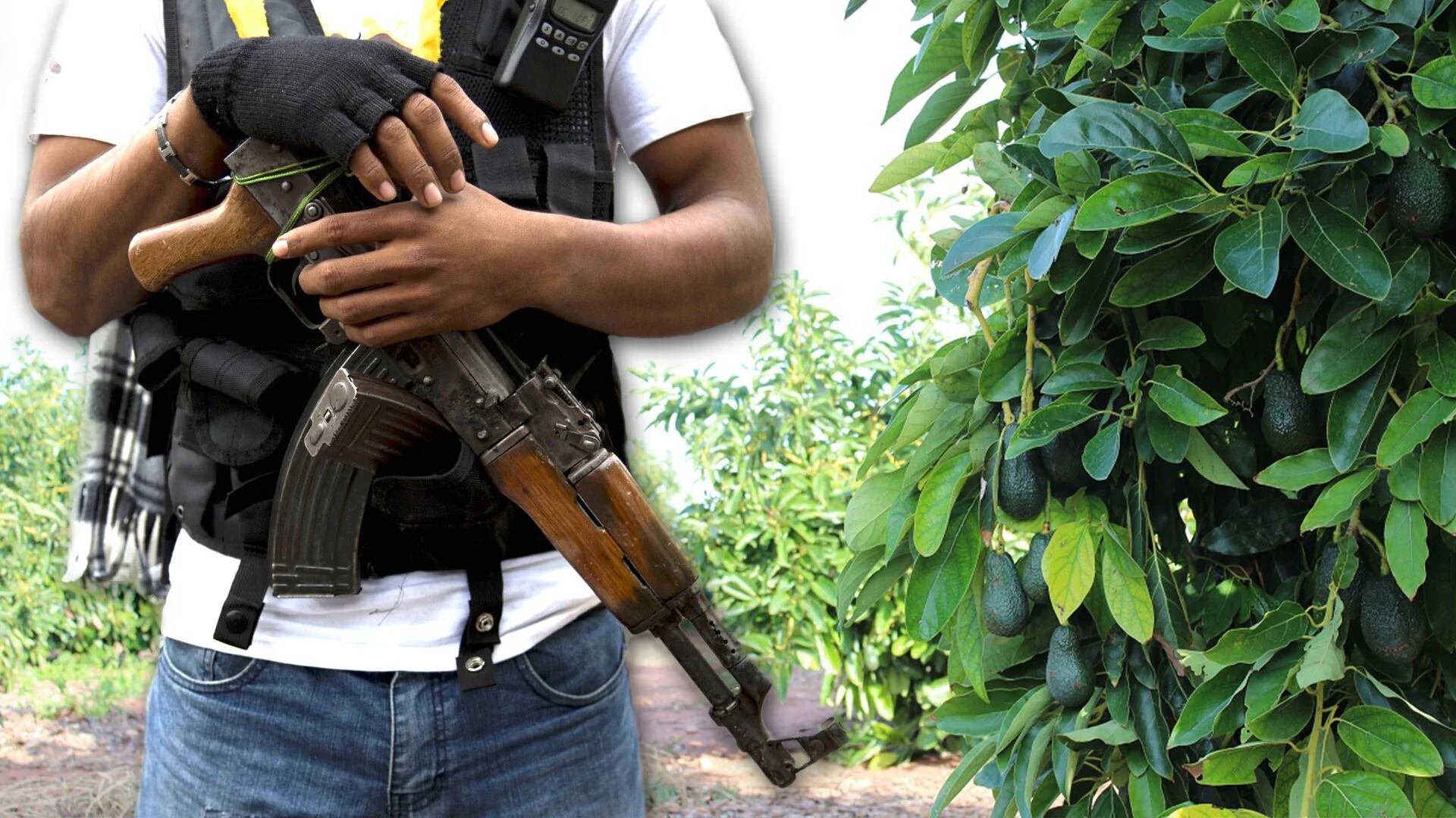 Cuál es el cártel ‘más poderoso’ de Michoacán que ataca a sus enemigos con drones