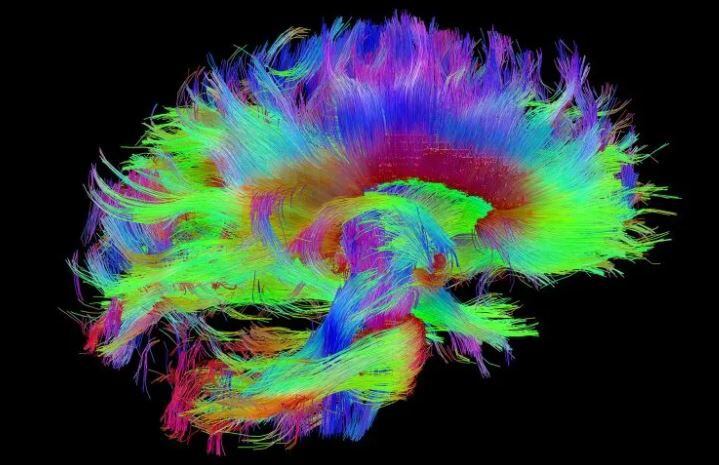 Mapa memoria cerebro