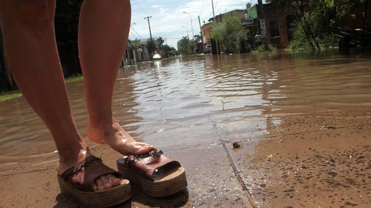Corrientes: la zona sur de la provincia es la región más afectada