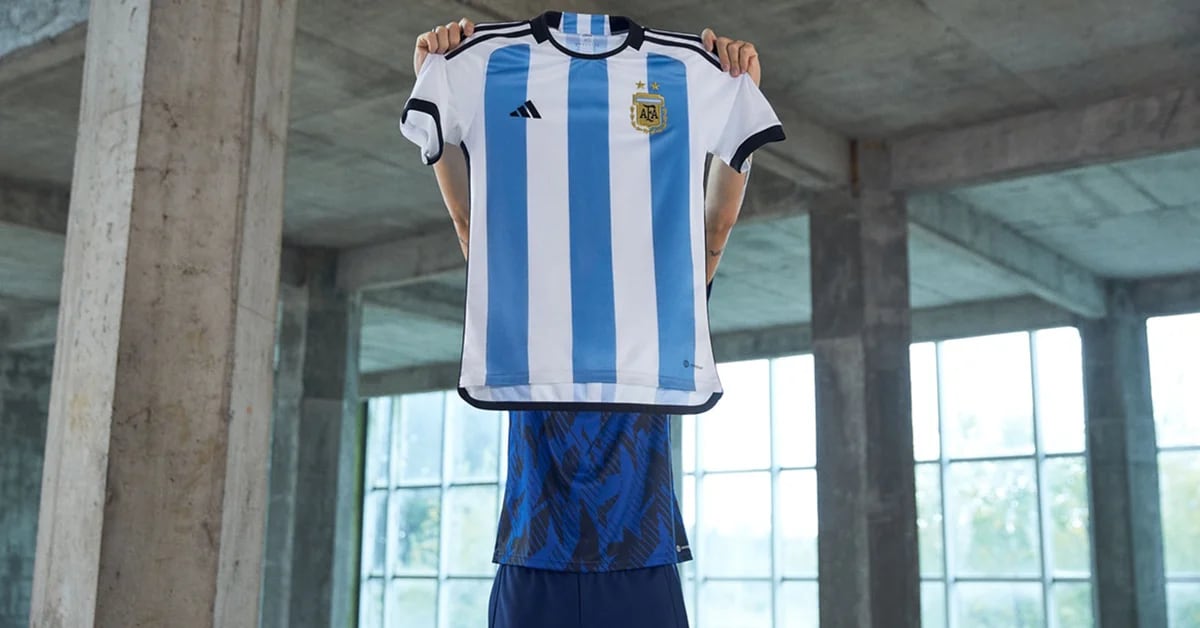 Acumulativo aterrizaje Miserable A menos de dos meses del Mundial, faltan camisetas de la Selección Argentina  por la alta demanda - Infobae