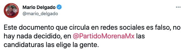 El exdiputado aclaró que las candidaturas de Morena las elige la gente (Foto: Twitter@mario_delgado)