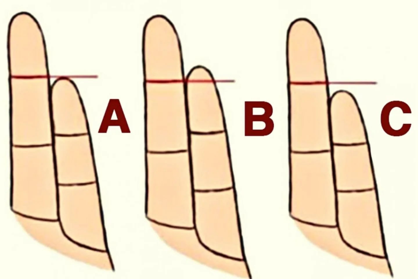 Visual test: the size of your little finger will tell you what your true  personality is - Infobae