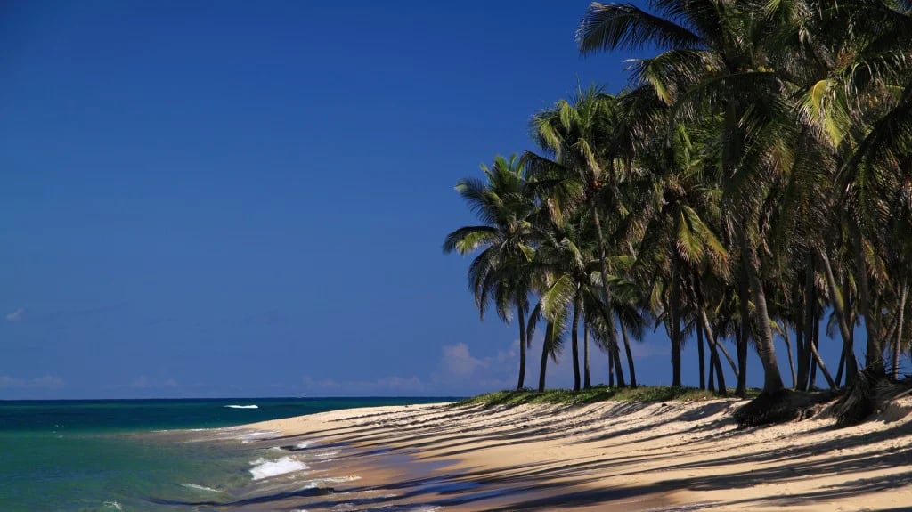 El estado brasileño de Alagoas es el lugar ideal para los que prefieran playas menos populares (Shutterstock)