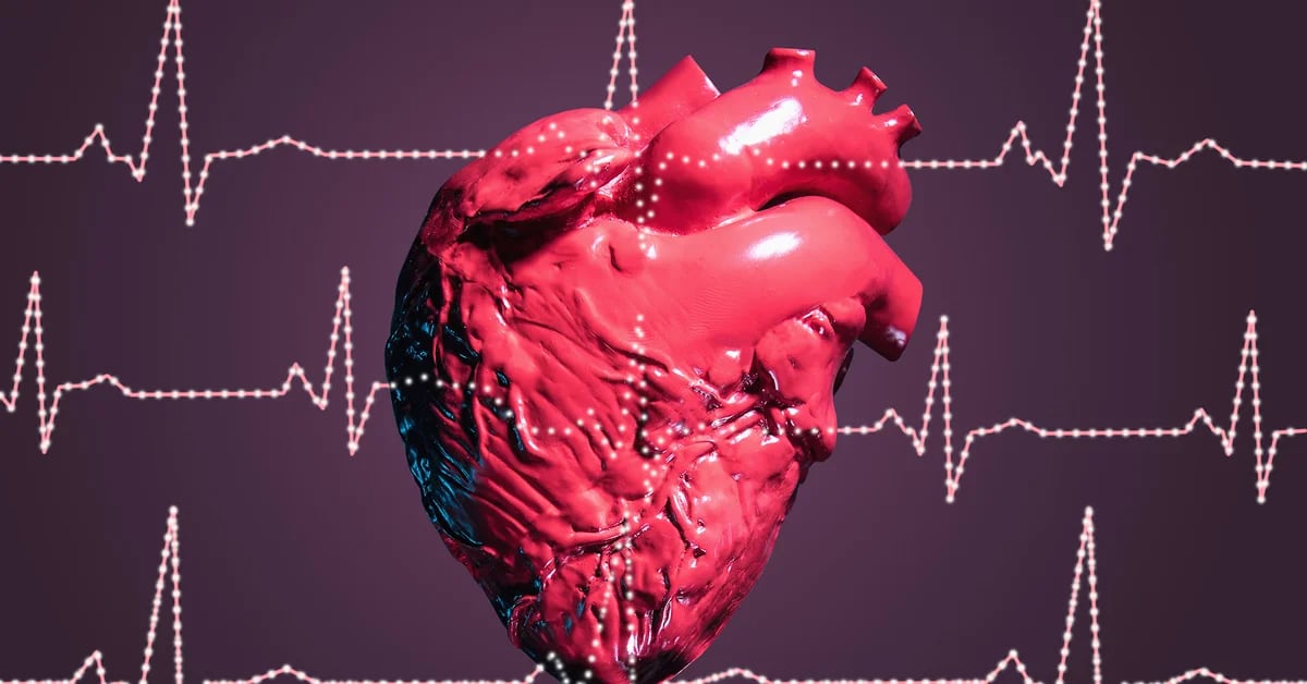 They discovered how COVID-19 damages heart cells and affects the rhythm of heartbeats