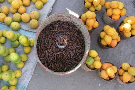 insectos como alimentos © FAO/Annie Monnard