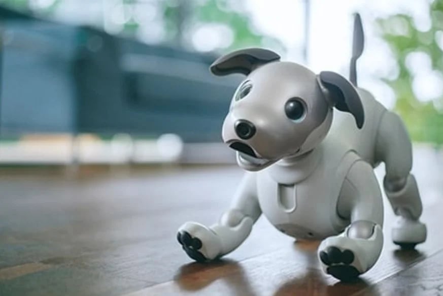 Inicia la adopción de perros robot con inteligencia artificial 