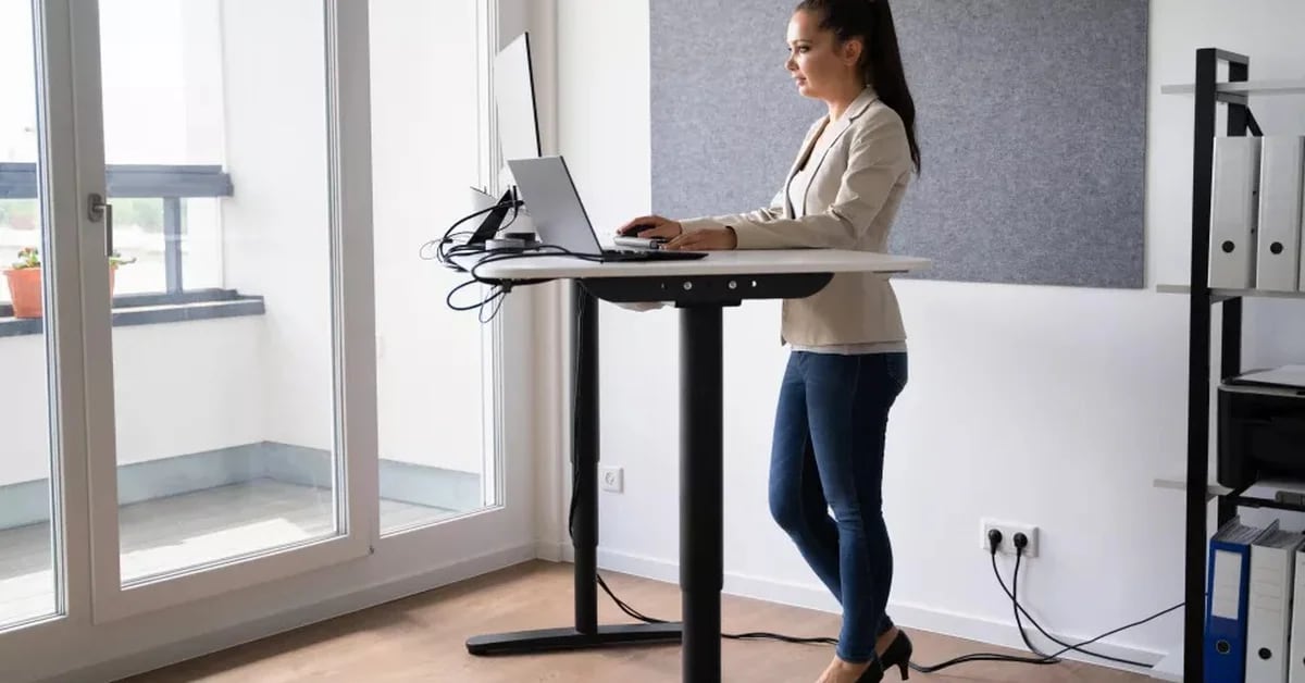 Why Harvard Recommends a Desk with Movable Height Technology