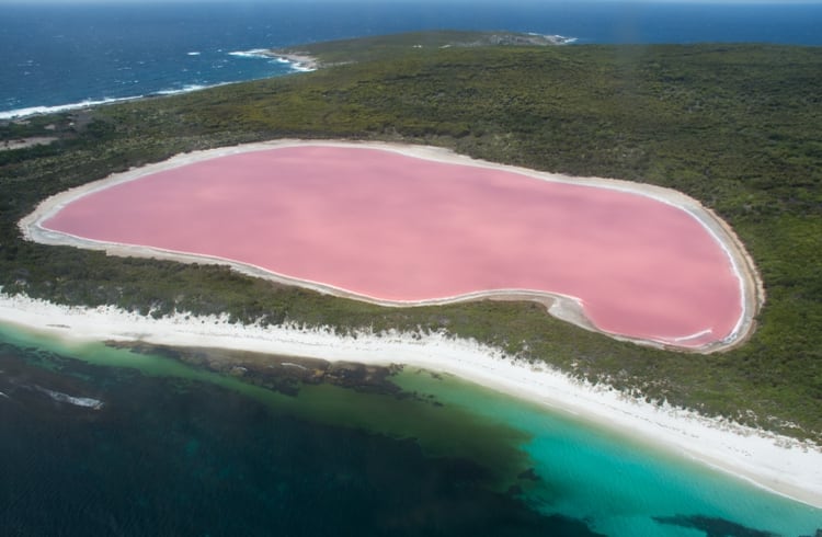Situado a escasos metros de las profundas aguas azules del Océano Índico, Lake Hillier es un sitio famoso gracias a su agua de color rosa chicle natural. El lago deriva su color único de los pigmentos rojos secretados por las bacterias que viven en el agua
