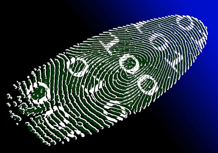 Datos Biometricos Para Que Los Quiere El Gobierno Y Las Dudas Que