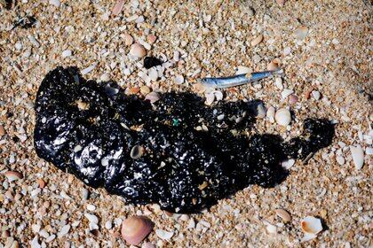 El alquitrán y restos de peces muertos es una constante a los largo del litoral israelí (REUTERS/Amir Cohen)
