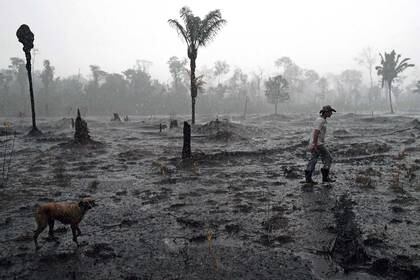 El amazonas tras los incendios forestales (Photo by CARL DE SOUZA / AFP)