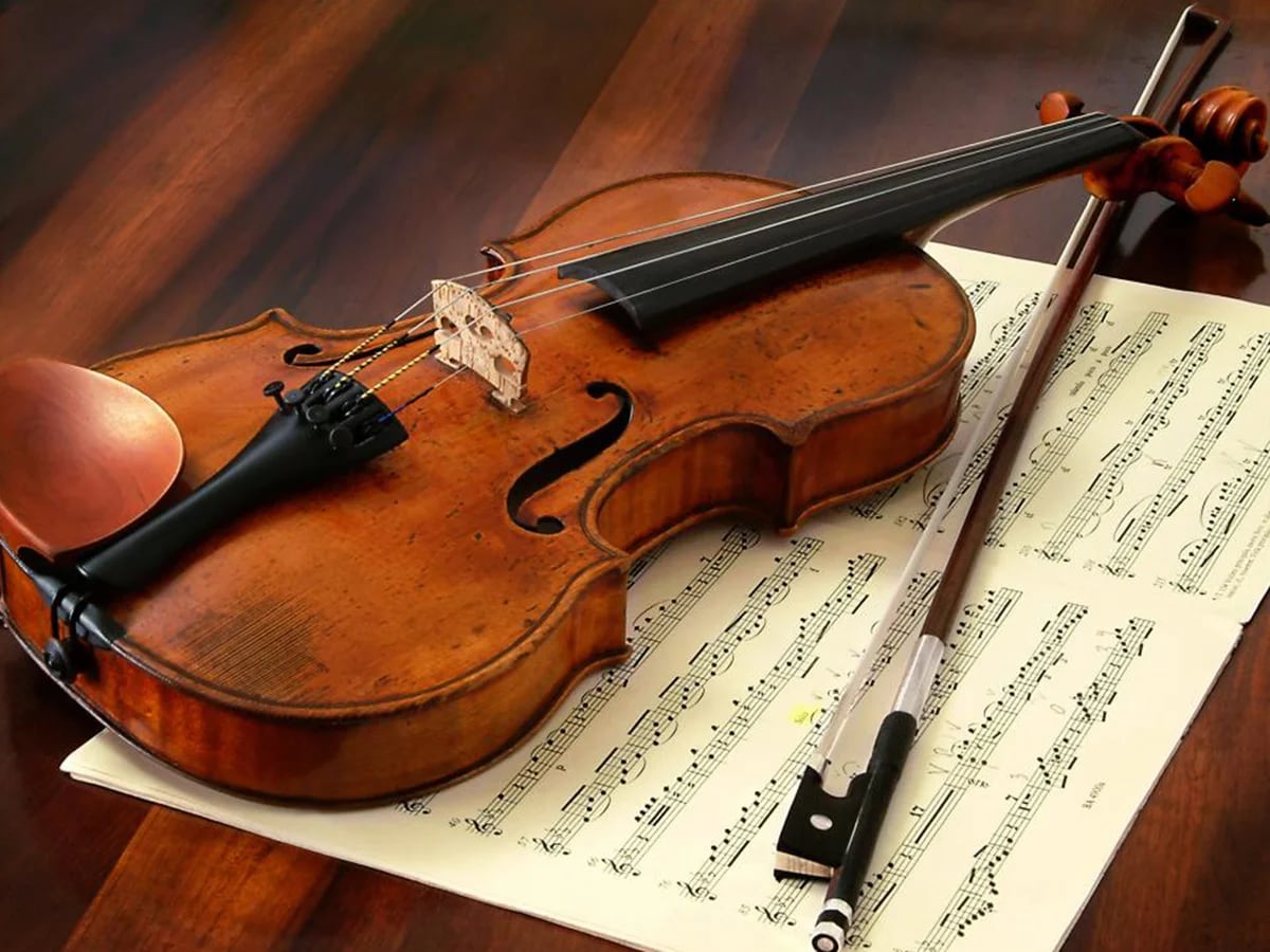 Ballena barba Respetuoso Declaración Misterio resuelto: por qué el violín Stradivarius tiene un sonido  inimitable - Infobae