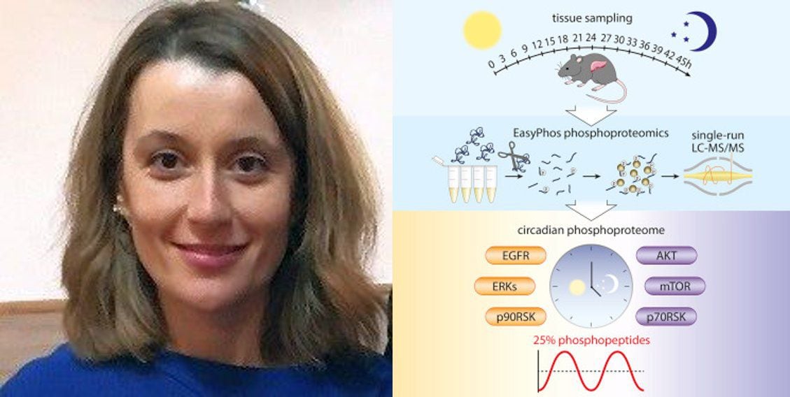 La doctora María Robles, directora del equipo de investigación (Twitter)